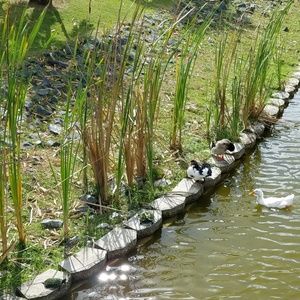 Meet your Posher, Arlene